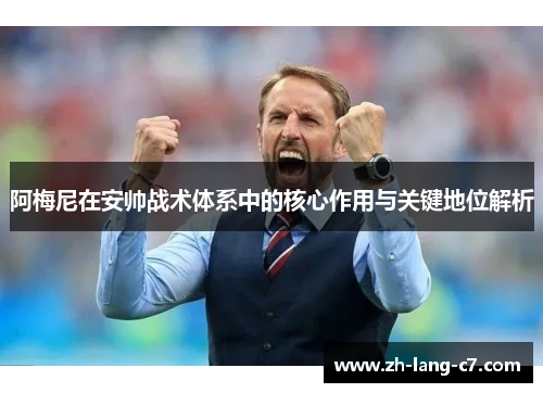 阿梅尼在安帅战术体系中的核心作用与关键地位解析