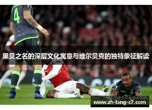 黑贝之名的深层文化寓意与维尔贝克的独特象征解读