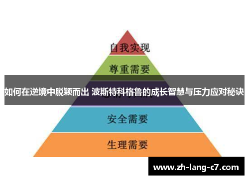 如何在逆境中脱颖而出 波斯特科格鲁的成长智慧与压力应对秘诀