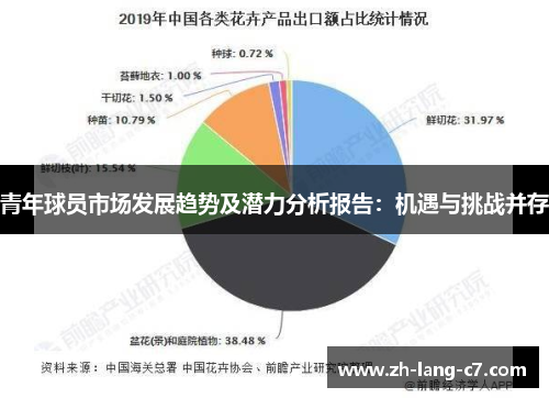 青年球员市场发展趋势及潜力分析报告：机遇与挑战并存