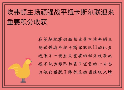 埃弗顿主场顽强战平纽卡斯尔联迎来重要积分收获